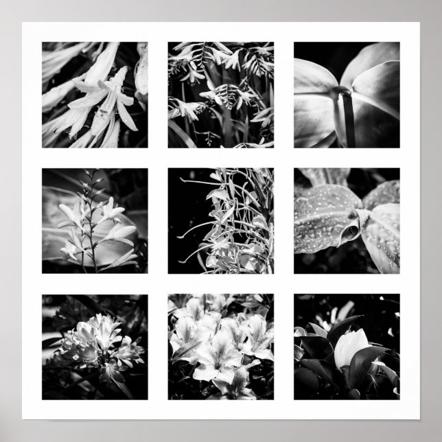 Poster Pormenores da série Nature - Flores 2 (Frente)