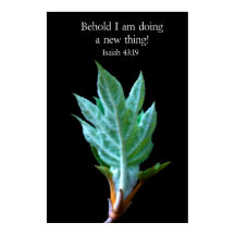 Porque estou a fazer uma coisa nova