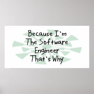 Poster Porque eu sou a Software Engineer