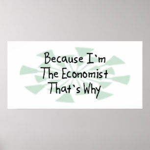 Pôster Porque eu sou o economista