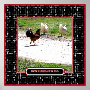 Poster Porque o galo cruzou a estrada