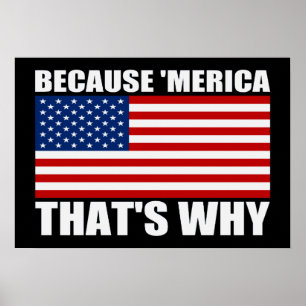 Poster PORQUE 'poster da bandeira de MERICA É POR ISSO