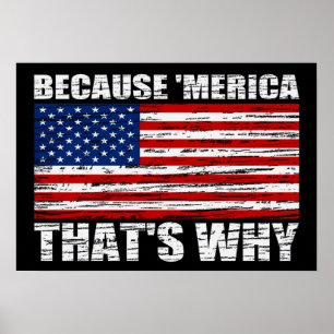 Pôster PORQUE 'poster da bandeira de MERICA É POR ISSO