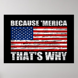Pôster PORQUE 'poster da bandeira de MERICA É POR ISSO