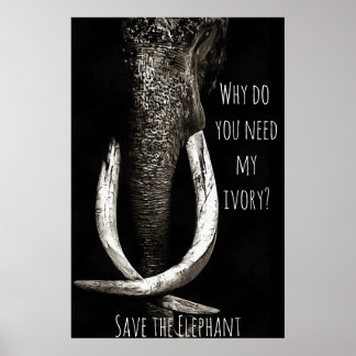 Poster Porque precisas do meu elefante branco e preto de