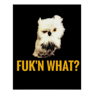 Pôster Porra, o quê?