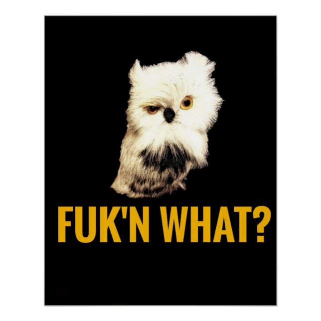 Pôster Porra, o quê? (Frente)