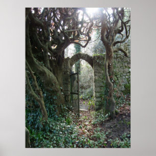 Pôster Porta de jardim irlandesa