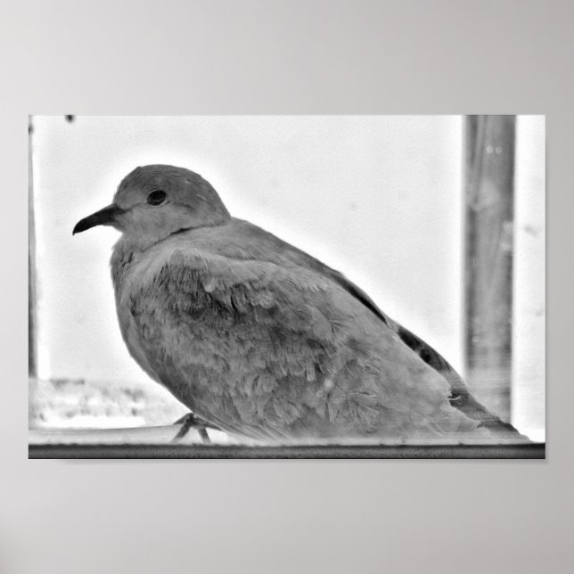 Poster Porta Inocente (Frente)