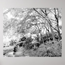 Pôster Porta Rústica