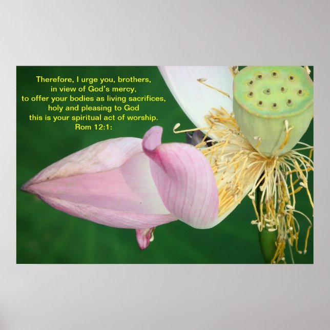 Pôster Portanto, peço-vos, irmãos (Frente)