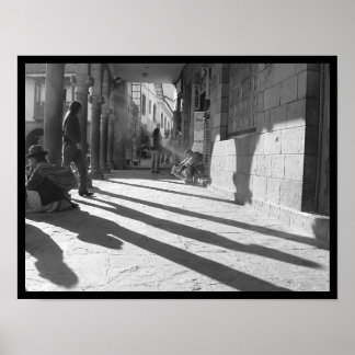 Pôster portfólio da foto IV nº 10