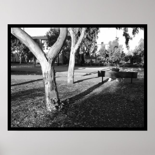 Poster portfólio foto IV nº 5 (Frente)