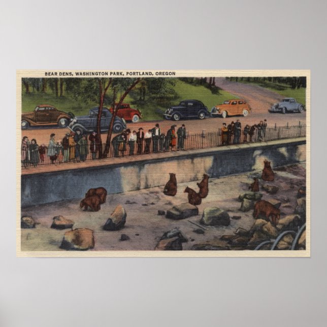 Pôster Portland, ORBear Dens no Parque Washington (Frente)