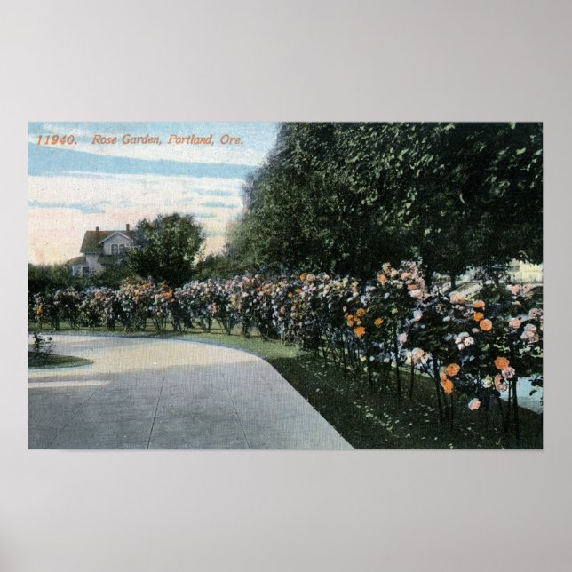 Poster Portland, OregonView de um Jardim Rosa (Frente)