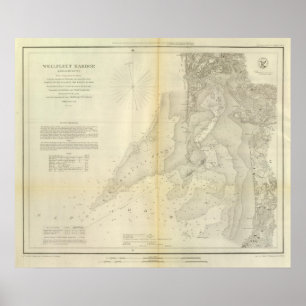 Pôster Porto da Frota do Bem-Estar, Massa