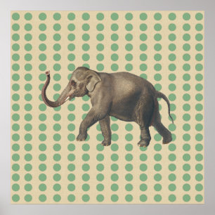 Poster Portos de Especiarias da Bay Leaf com Elefante