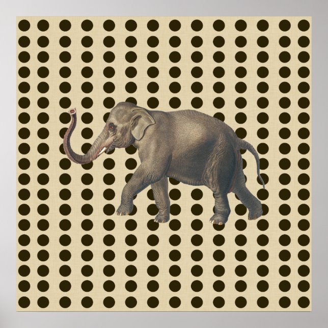 Pôster Portos de Especiarias de Chocolate com Elefante (Frente)