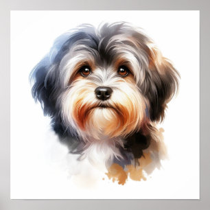 Poster Portrato Cachorro Cute Havanese em Watercolor