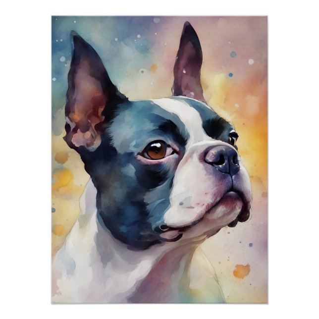 Pôster Portrato Digital de Aquarela de Boston Terrier 173 (Frente)