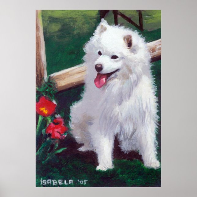 Poster Portrato do Cachorro Spitz Japonês (Frente)