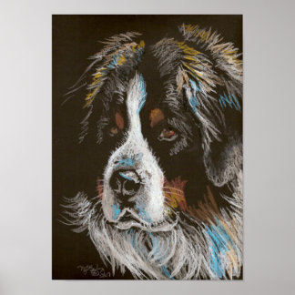 Pôster Portrato do Pastel de Cachorro Bernês