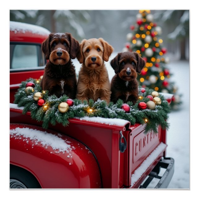 Pôster Portuguese Water Dog Christmas Red Truck Holiday (Frente)