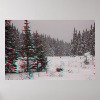 Poster Pôs do castor