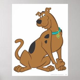Pôster Pose Bashful de Scooby-Doo