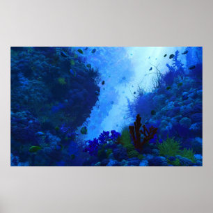 Poster Poseidon's Playground