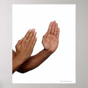 Pôster Posição 2 do karaté