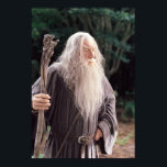 Pôster Posição de GANDALF™<br><div class="desc">Gandalf: Um feiticeiro está nunca atrasado,  Frodo Baggins. Nem é cedo. Chega precisamente quando significa a.</div>