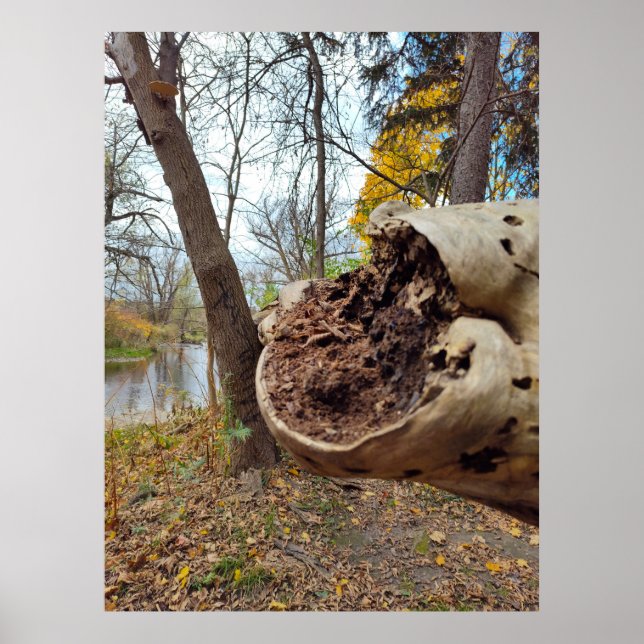 Poster Posição Justa de Decay e Life (Frente)