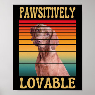 POSTER POSITIVAMENTE ADORÁVEL