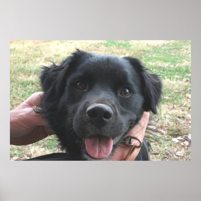 Pôster Posse De Fumaça Para A Câmera (Frente)