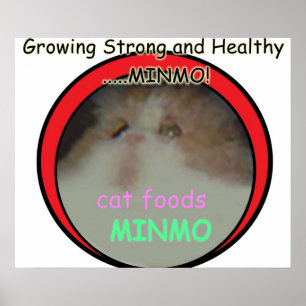 Poster Possivelmente a referência mais obscura do Silent