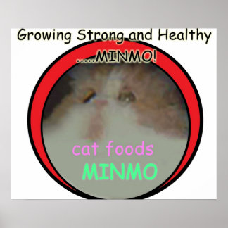 Poster Possivelmente a referência mais obscura do Silent 