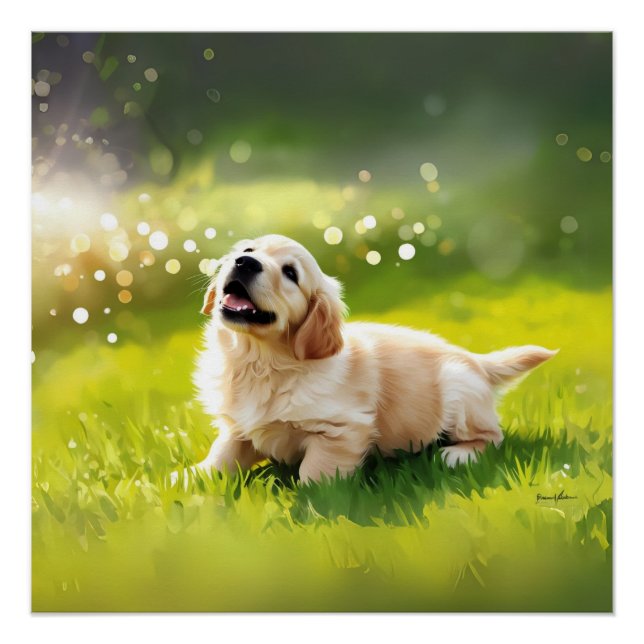 PÔSTER POSTER (Frente)