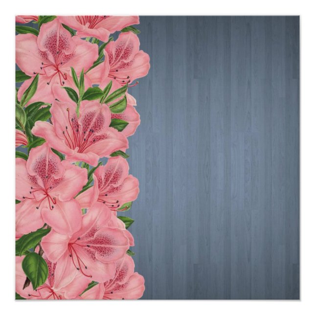 Pôster Poster (Frente)