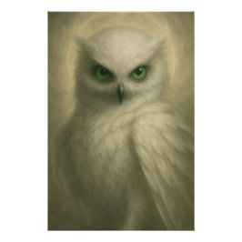 Pôster poster