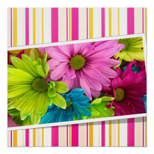 Pôster Poster (Frente)