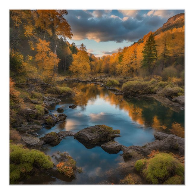 PÔSTER POSTER (Frente)