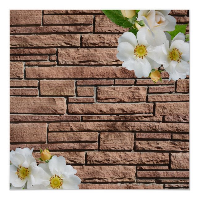 Pôster Poster (Frente)