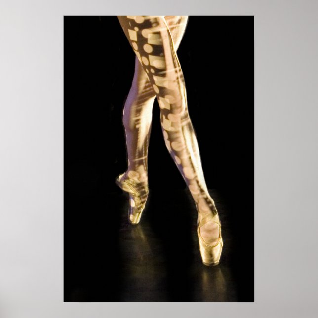 Poster Poster-4204 (Frente)