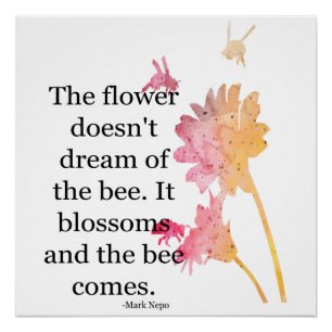Pôster Poster A flor não sonha com a abelha