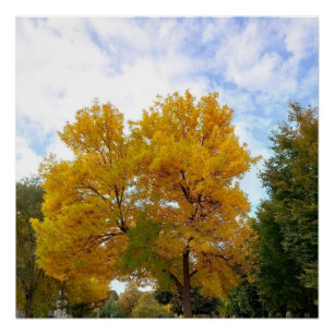 PÔSTER POSTER AMARELO AMARELO AUTUMNS