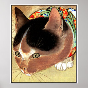 Poster Poster: Arte do gato do vintage: "Gato curioso do