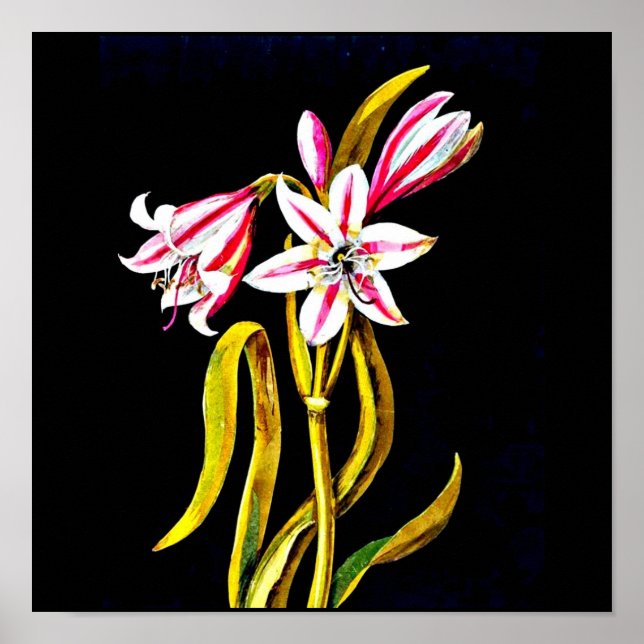 Pôster Poster-Botânica Art-Mary Delany 3 (Frente)