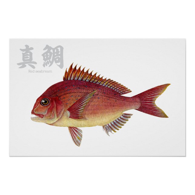 Pôster Poster brilhante (Frente)