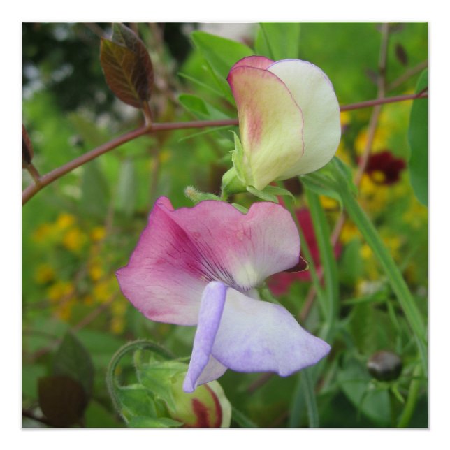 Pôster Poster brilhante (Frente)